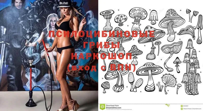 Галлюциногенные грибы MAGIC MUSHROOMS  купить   Краснокаменск 